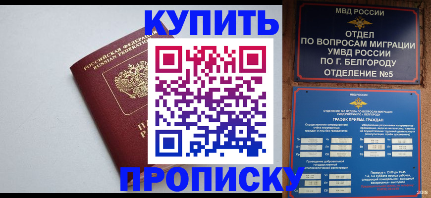прописка регистрация в Чайковском